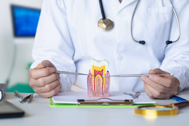 Best 24-Hour Emergency Dental Care in Chatmoss, VA